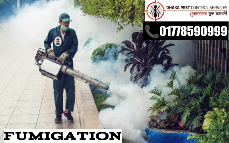 fumigation service