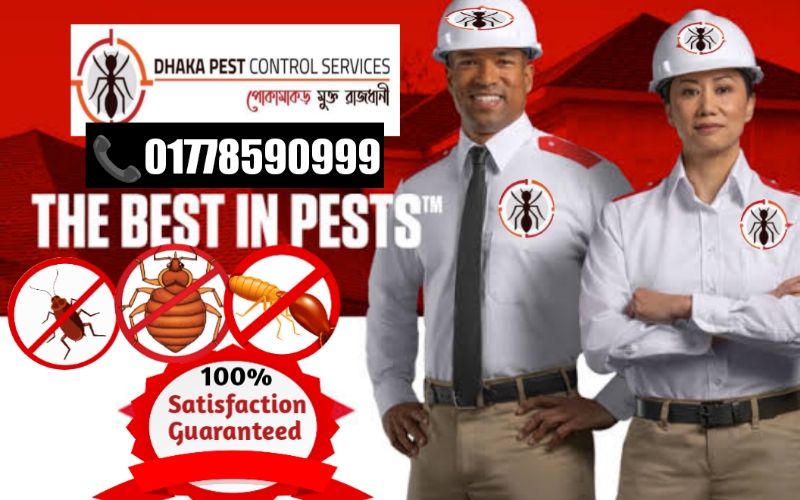 about dhaka pest