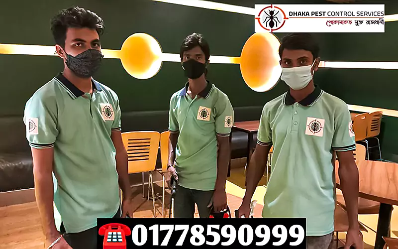 pest control service in dhaka