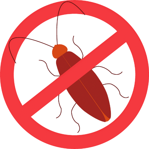 Best Cockroach Control Price In Dhaka