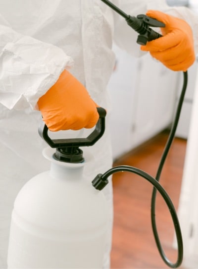 pest control companies