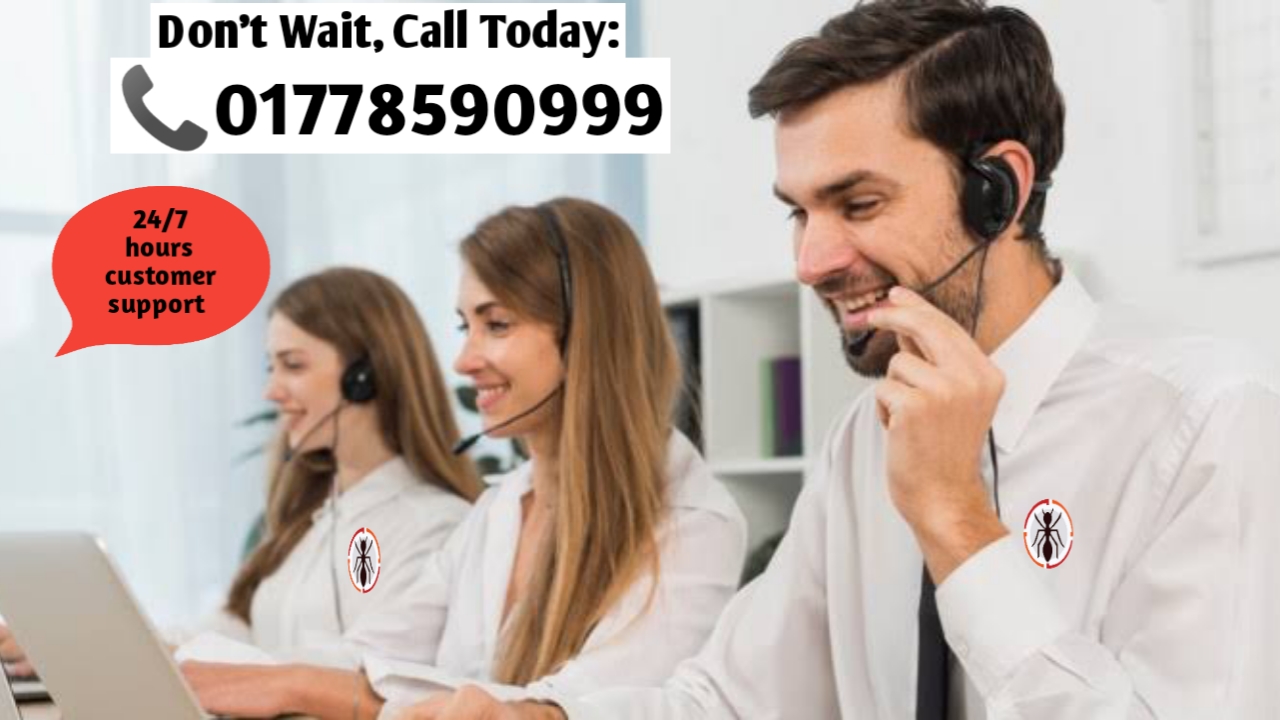 pest control companies