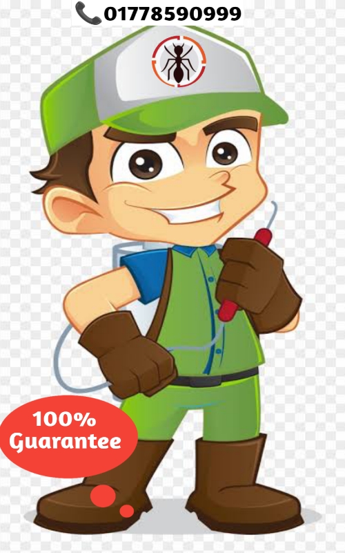 professional pest control