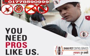 professional pest control