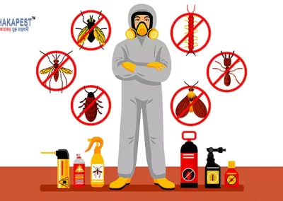 pest control services