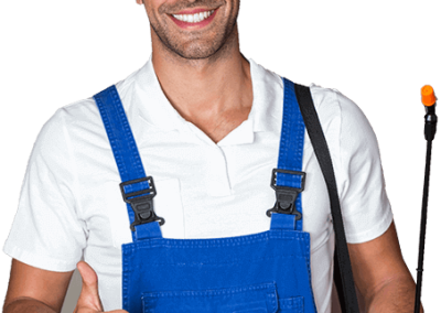 pest control near me